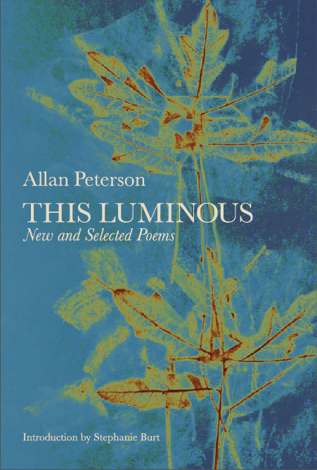 WEBThisLuminous_AllanPeterson_FinalCover (1)